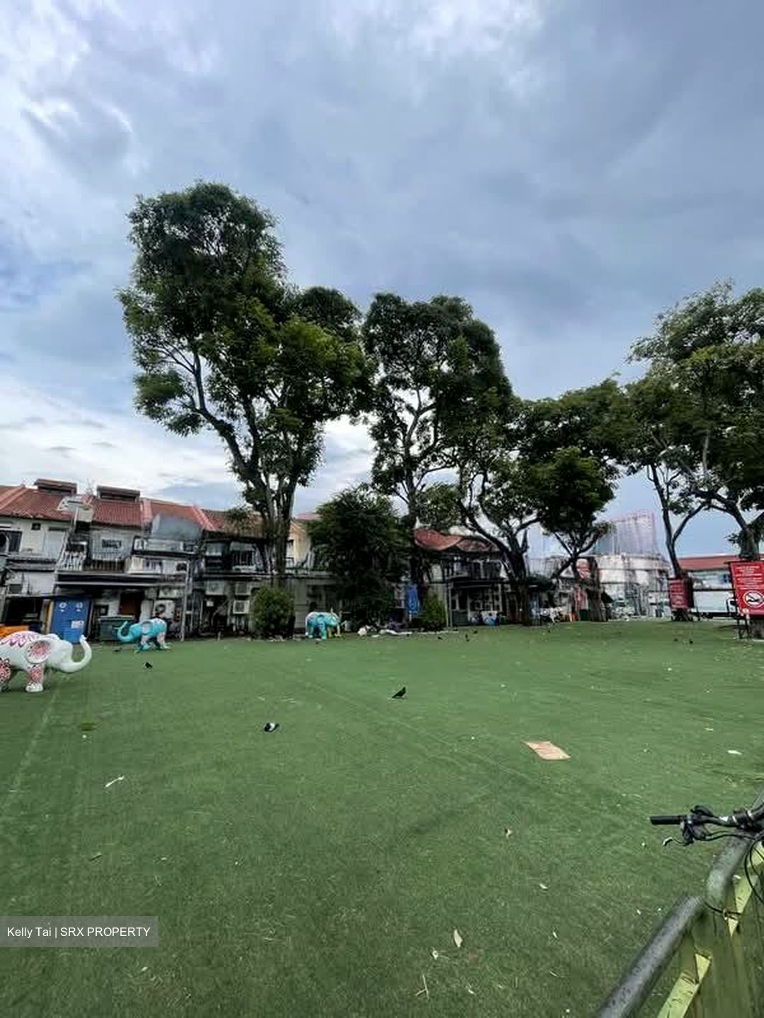 Little India Conservation Area (D8), Shop House #576268951